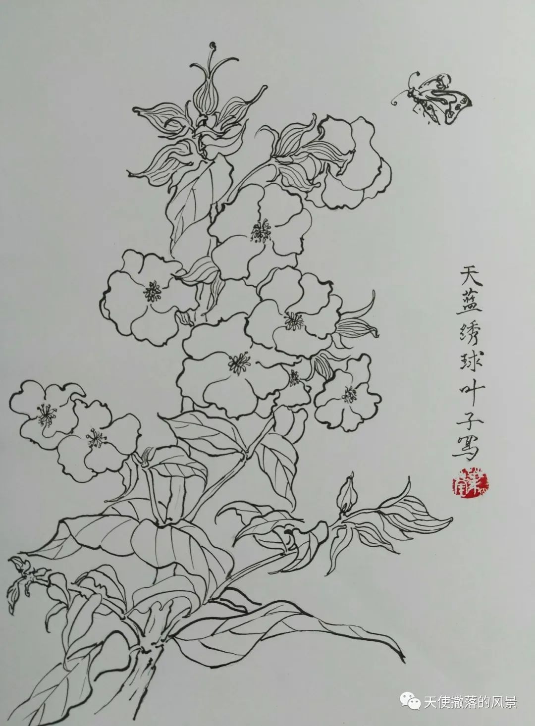 玫瑰为谁开—花卉写生集(生若夏花篇)