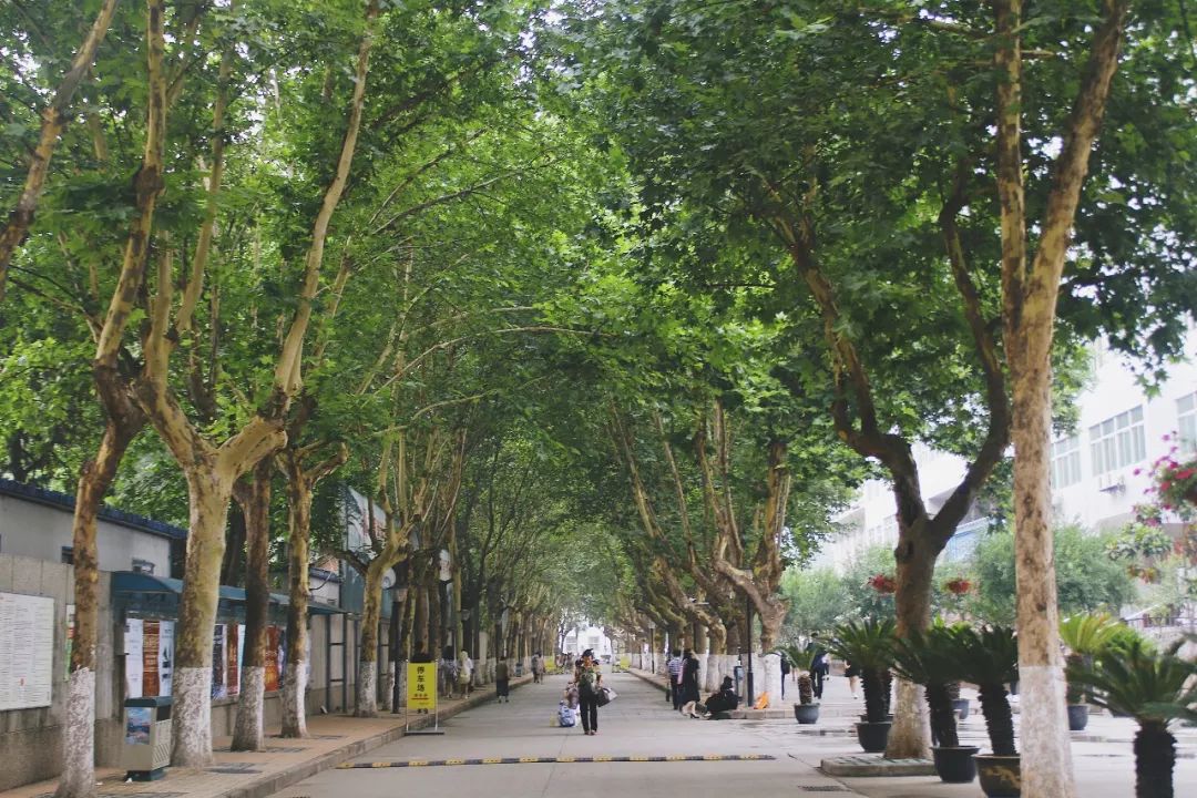 西安音乐学院——女神c位集结地!