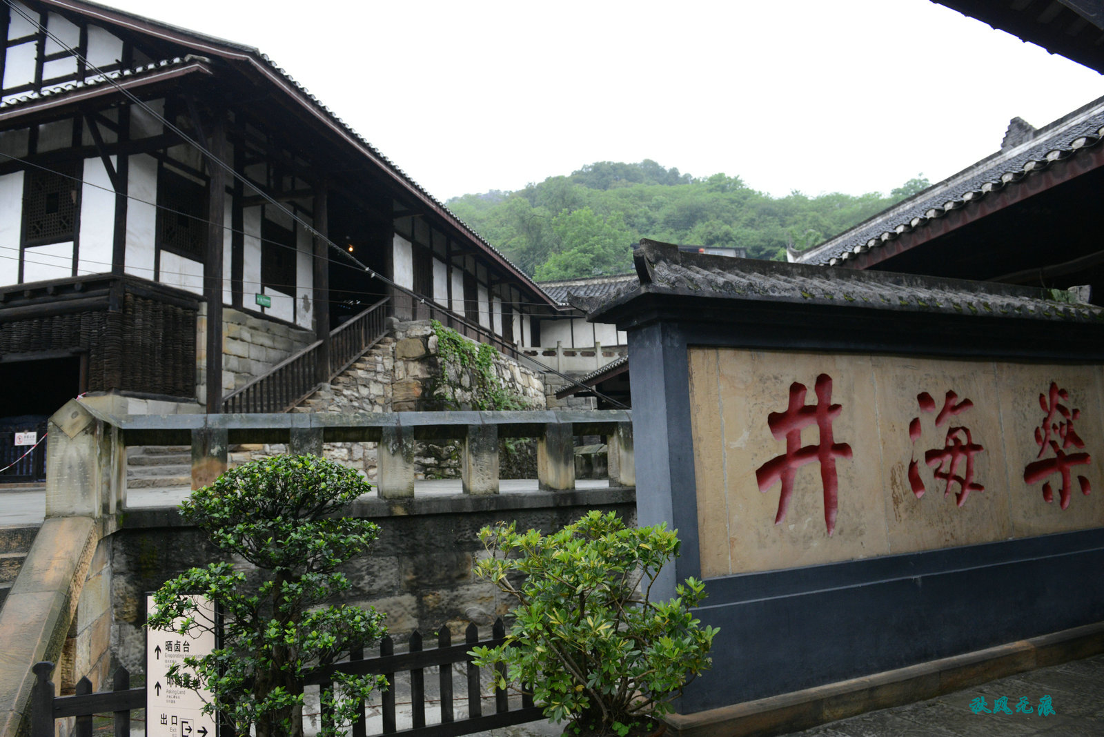 在盐都文化与雨中花儿里记住自贡