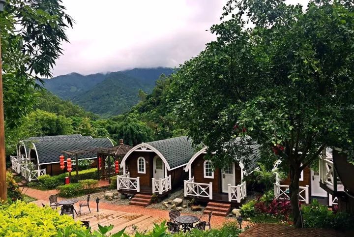 度假圣地,森林花海,大美天露山旅游度假区,叹半山温泉