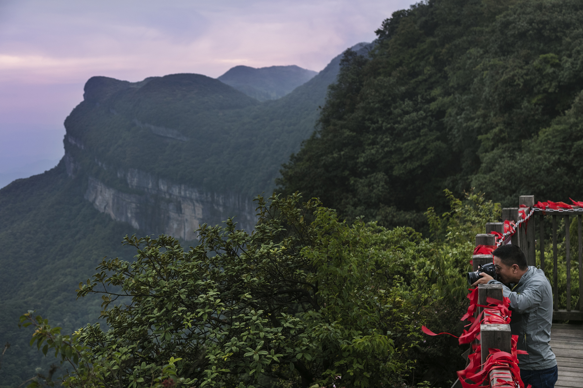 旅游 正文  金龟朝阳是金佛山喀斯特峡谷地貌的代表,山形似伸长脖子