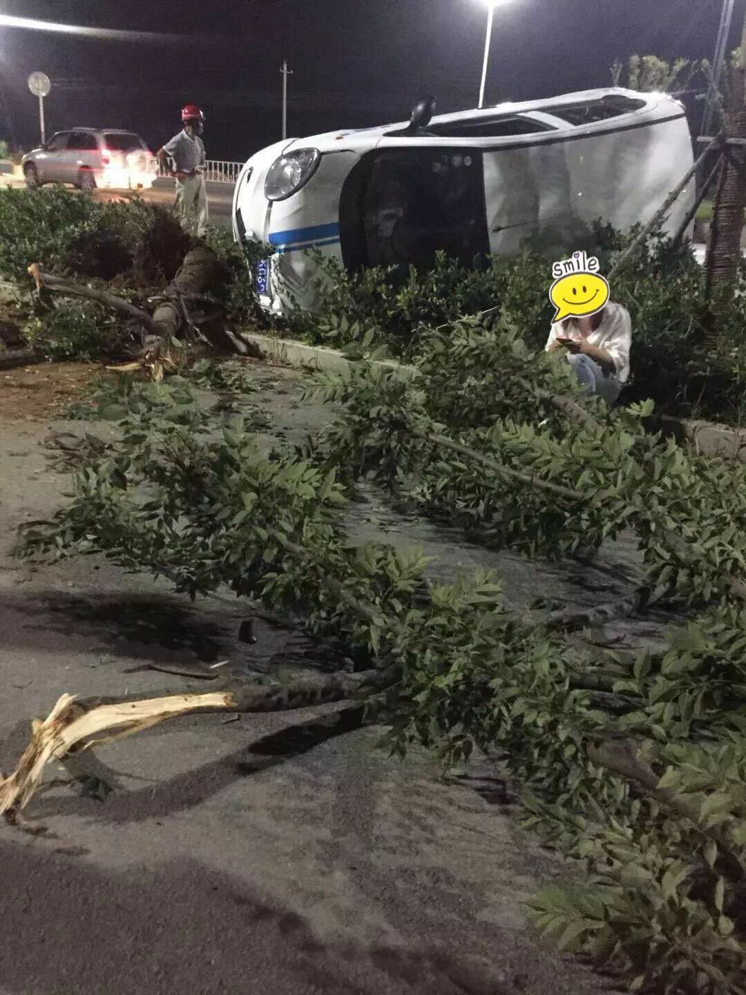 昨晚马鞍山一车撞树一车撞电线杆夏季行车莫忘安全