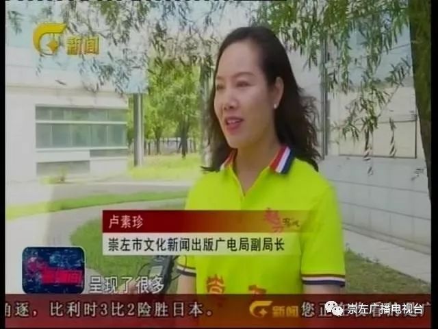 崇左市文化新闻出版广电局副局长 卢素珍