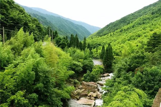 地址:杭州市临安市天目山景区