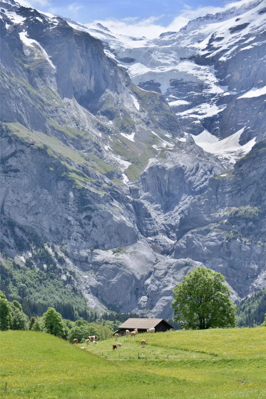 瑞士最美雪山 不是著名的少女峰 而是这座低调的“欧洲山王”_新浪旅游_新浪网
