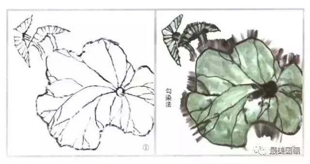 图解漂亮又简单荷叶画法步骤,国画荷叶的画法大全