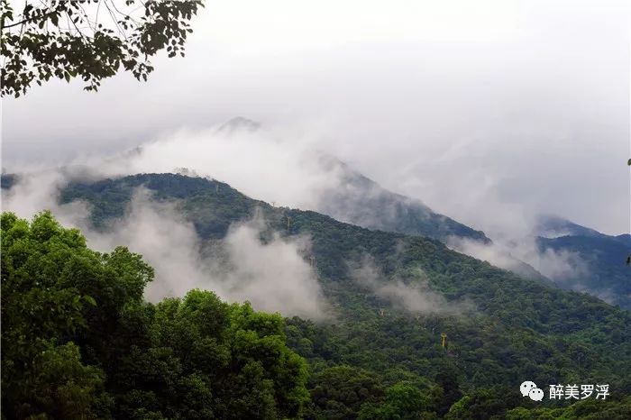 "独领风骚"的罗浮山,我们何时才能像您一样优秀