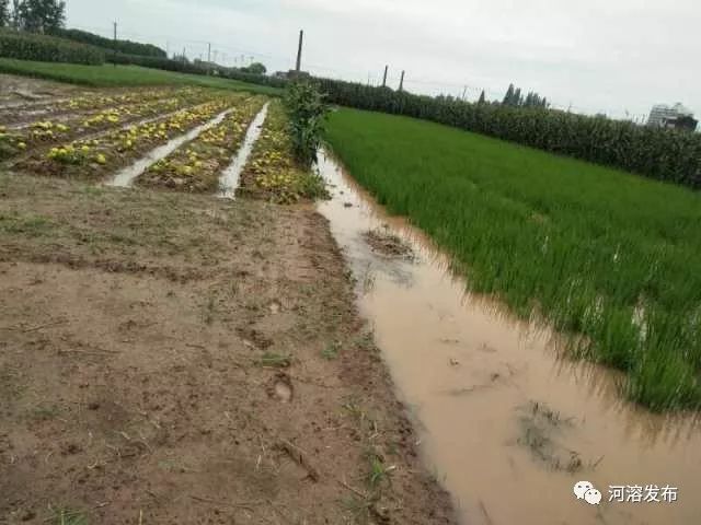 河溶镇经济人口_绿水镇体河村人口