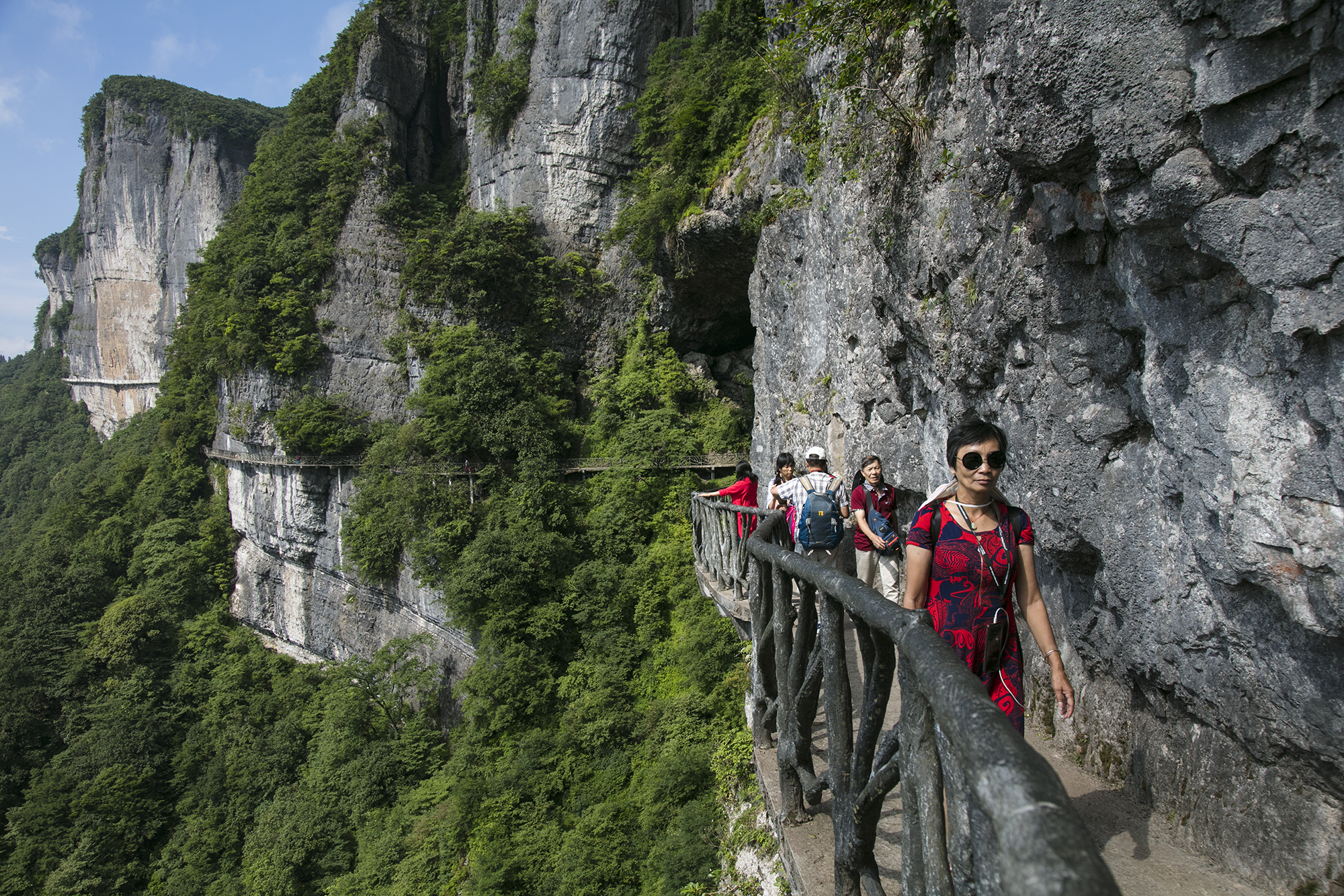 2019金佛山-旅游攻略-门票-地址-问答-游记点评，南川旅游旅游景点推荐-去哪儿攻略