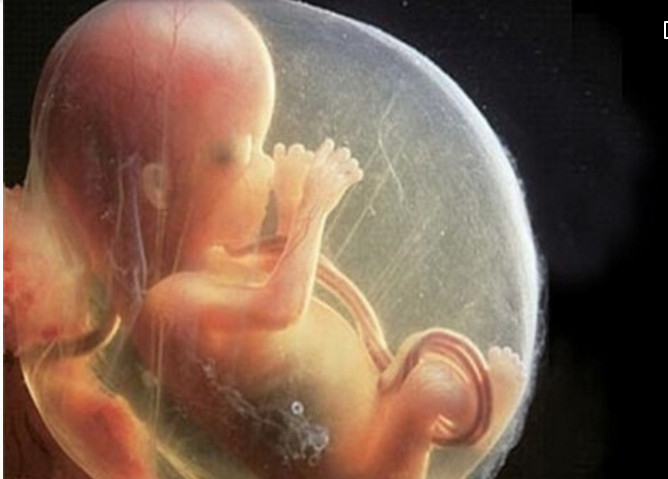 孕中期是指孕13周到孕28周期间,这时候胎儿基本已经稳定,孕妈妈的