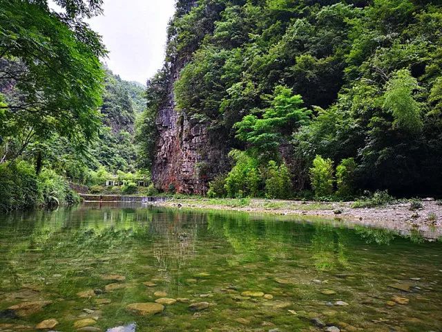 生态景区 绥阳观音岩生态景区,植被茂密,有"露营者天堂"的美誉,那里