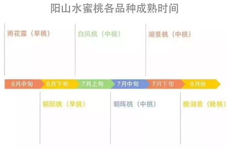 粉白如腮边胭脂直接吸着喝它所做的一切只为桃你欢心