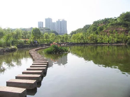 建设有限公司就重庆市九龙坡区跳蹬河,桃花溪智慧水务项目进行签约