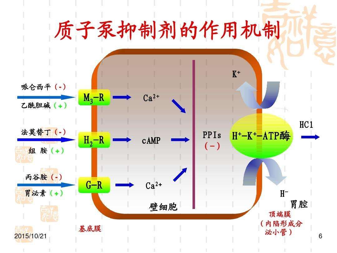 积医科普警惕10大类可导致骨质疏松的药物四质子泵抑制剂