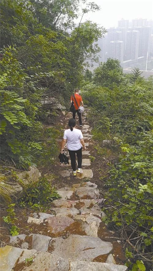 【城事】黄荆山上又多了一条登山步道;"三支一扶"高校