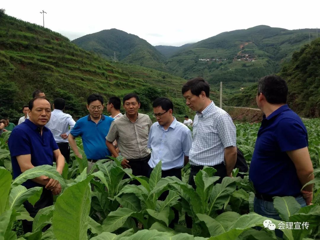 四川省烟草公司凉山州公司扶贫捐建项目太平镇大河村太阳能提灌站于