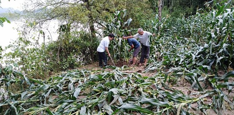 来凤面人口_平面构成面的构成图片