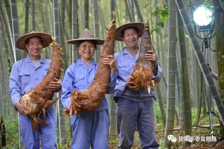 建瓯竹笋亮相央视展厅