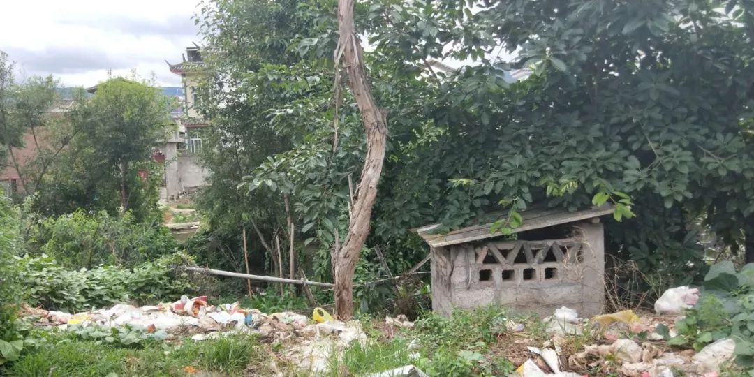 农村随地堆粪,建筑垃圾污染严重…【巍山不文明行为曝光第四期】