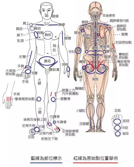 【原始点】按推手法,图文并茂,方便学习,养生人士必