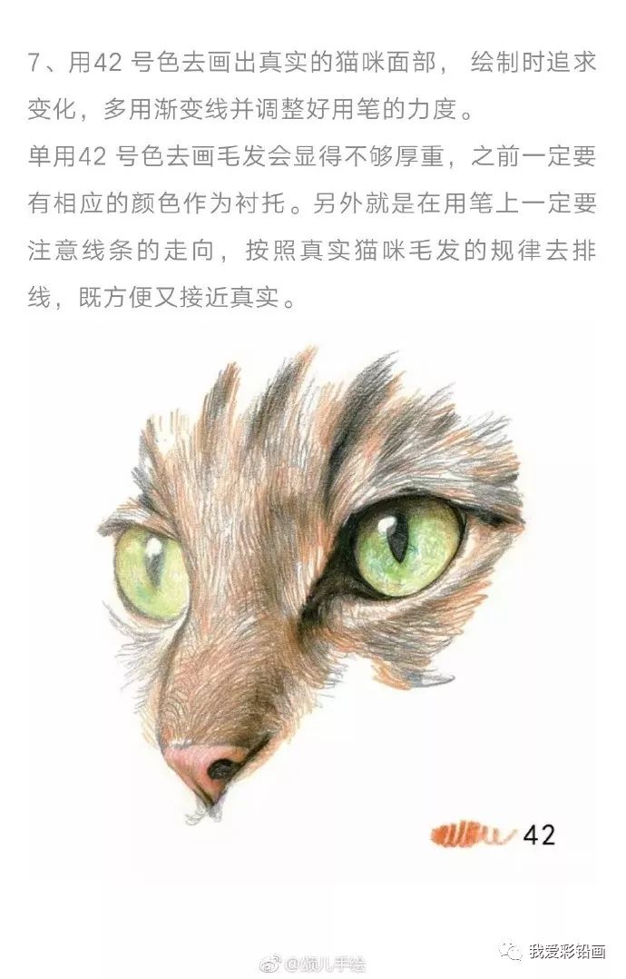 彩铅手绘-教你画晶莹剔透的猫眼和猫毛的走向刻画