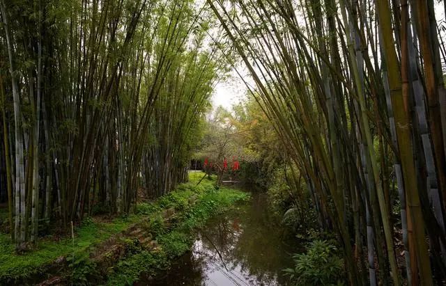 广州花都芙蓉嶂风景区,芙蓉嶂风景区游玩攻略介绍/门票价格/地址电话/开放时间/自驾公交线路-广东旅游景点风景区图片(图6)