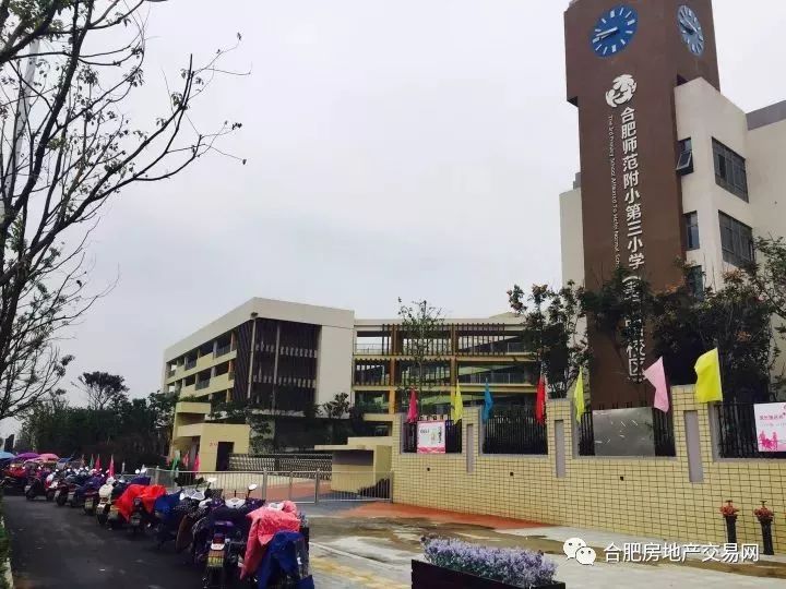 合肥阳光中学四川路校区,合肥师范附小第三小学贵阳路校区