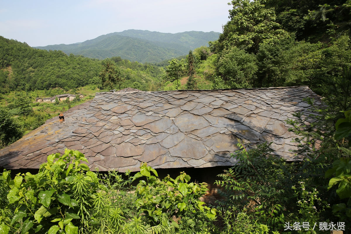 这条深山沟后就再也没有离开过,她们的家在同一个院子里,房子连着房子