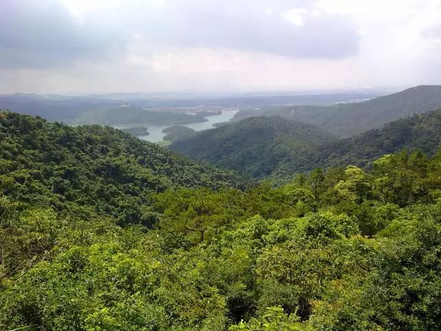 广州花都芙蓉嶂风景区,芙蓉嶂风景区游玩攻略介绍/门票价格/地址电话/开放时间/自驾公交线路-广东旅游景点风景区图片(图2)