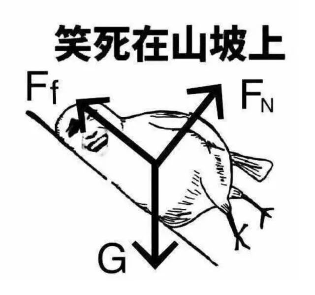 斗图时找不到合适的表情?留学生超全表情包了解一下.