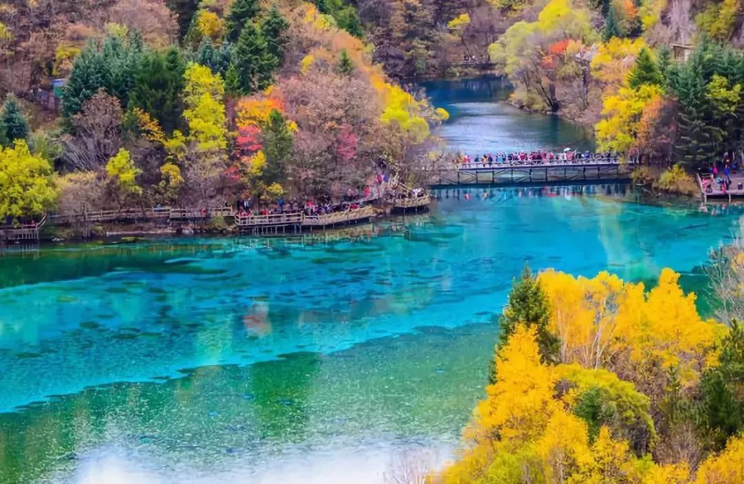 旅游 正文  【十月】 秋日的九寨沟,彩林遍布,碧色的五花海倒映岸边的