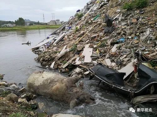 博白县文地镇那大村有多少人口_博白县文地中学图片