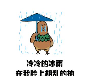 今天的来的 【福州市暴雨黄色预警信号】福州市气象台07月06日12时43