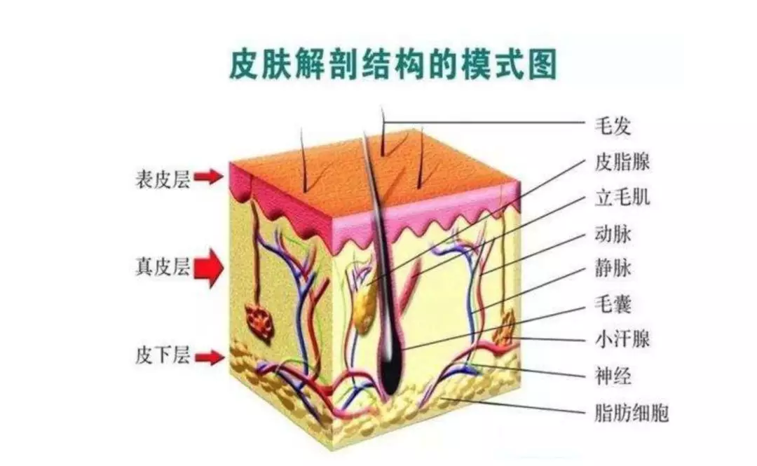 乱莎的原理_总结一下   很多加装师傅对加装车辆的电控系统控制策略,结构原理并不了解,或者