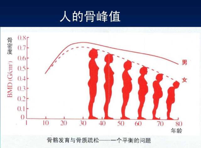 骨骼发育与相应年龄身体的发育同步,骨量的累积是动态的持续过程.