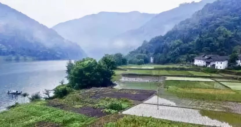 文化 正文 王大荣(一 文朋赴达意深长 酬愿采风临僻乡.