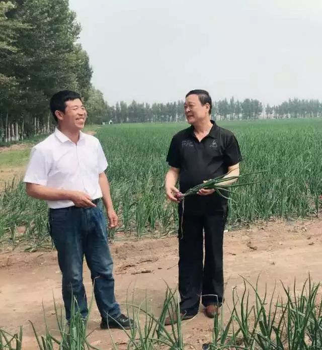 担当作为情在民记通辽市委常委科尔沁区委书记曹文敏