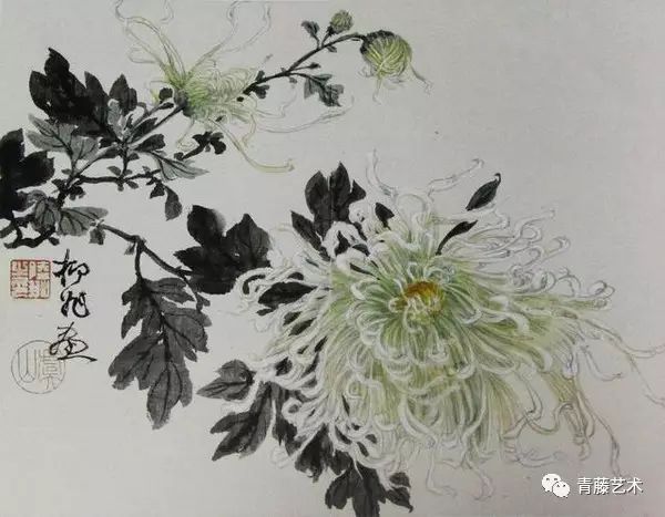 陆抑非 菊花