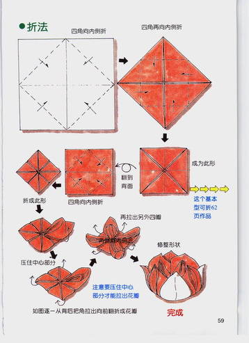 餐饮口布折花大全