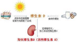 类骨质怎么看