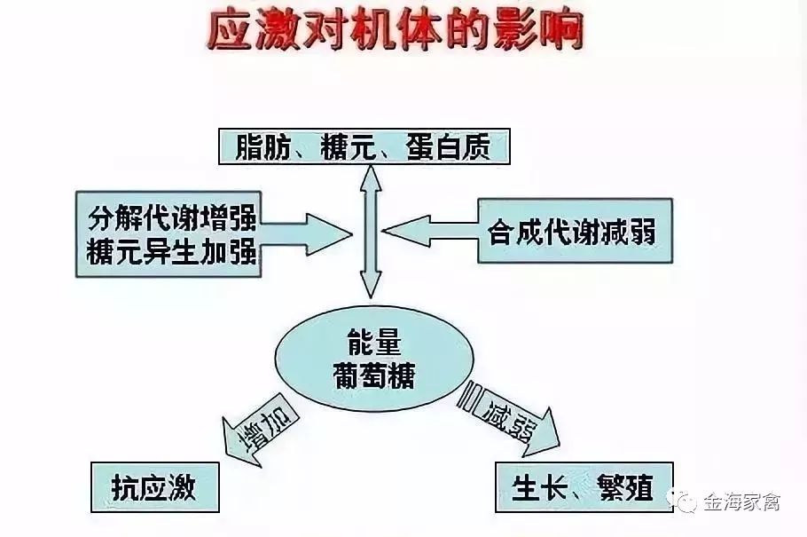 健康 正文  应激状态下,对机体的危害都有哪些?