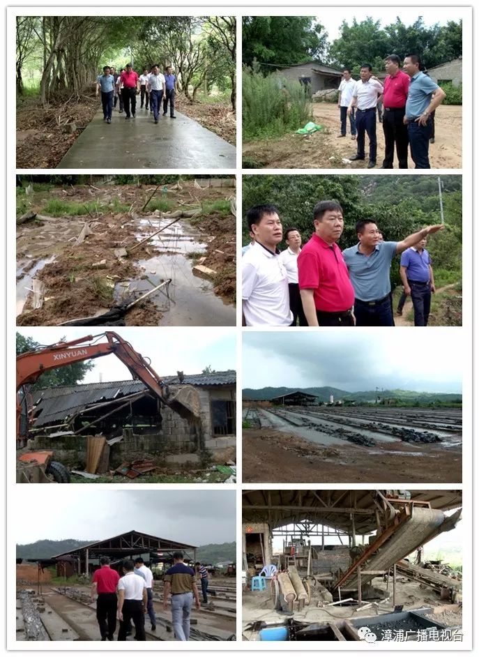 为了漳浦的"金山银山",沙西镇大力整治牛蛙,生猪养殖!