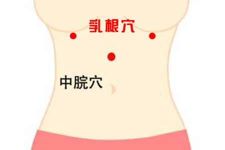 首页 > 热点 > 正文   乳根穴st18rǔgēn定位