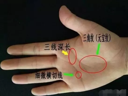 女人有这些掌纹,一辈子有福气,有钱又幸福