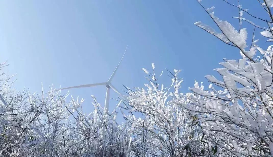 于都县屏山牧场雾凇冰花