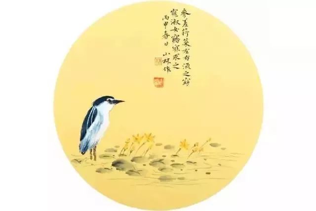 参差荇菜,左右流之