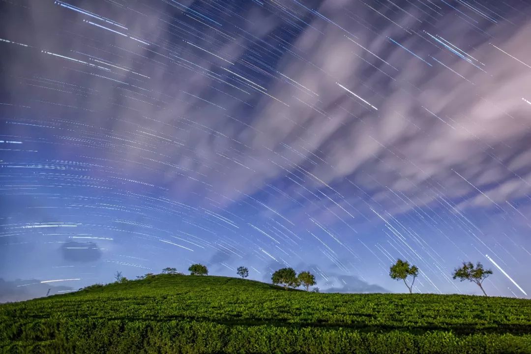 《星空下的茶园》摄影:张光伟