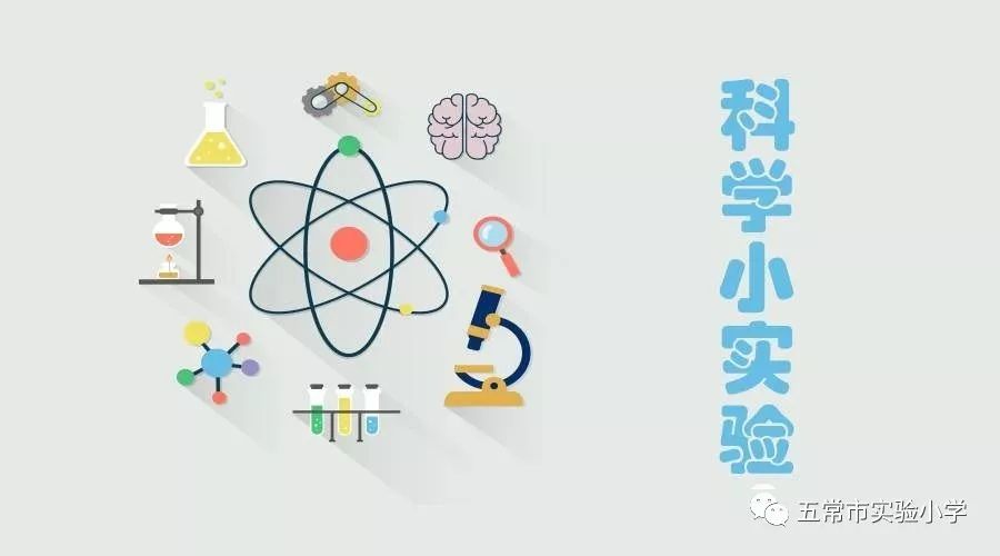 科创课程实验小学四年五班科学小实验阶段总结