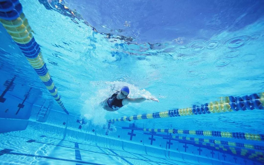 报名716全民游泳健身周系列活动河南站免费报名开启