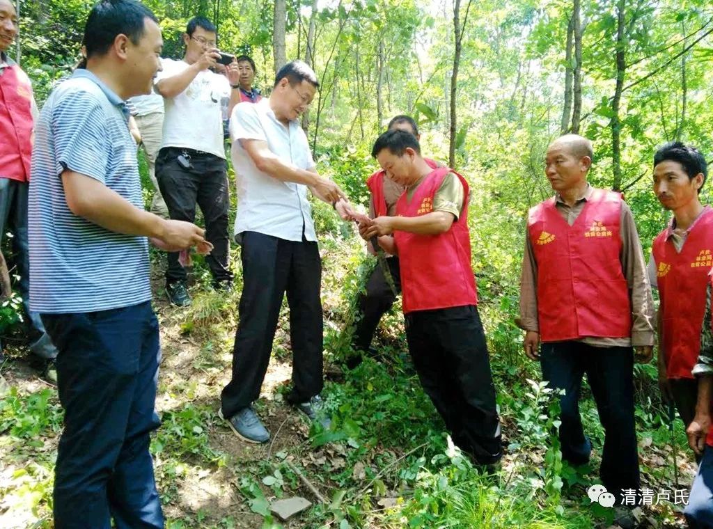 招聘护林员_脱贫户老张的舒坦日子 图